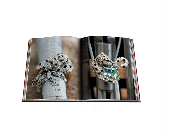 Assouline Cartier Panthère