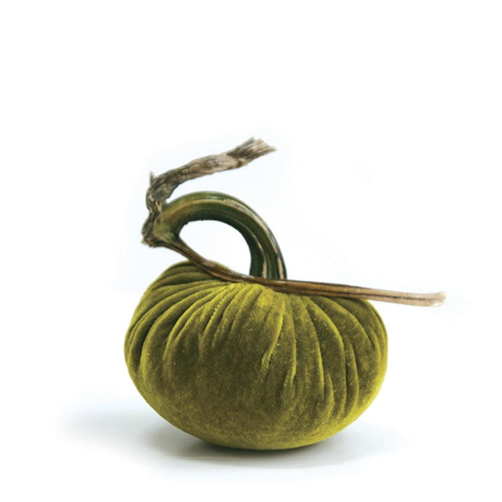 Plush Pumpkin Chartreuse
