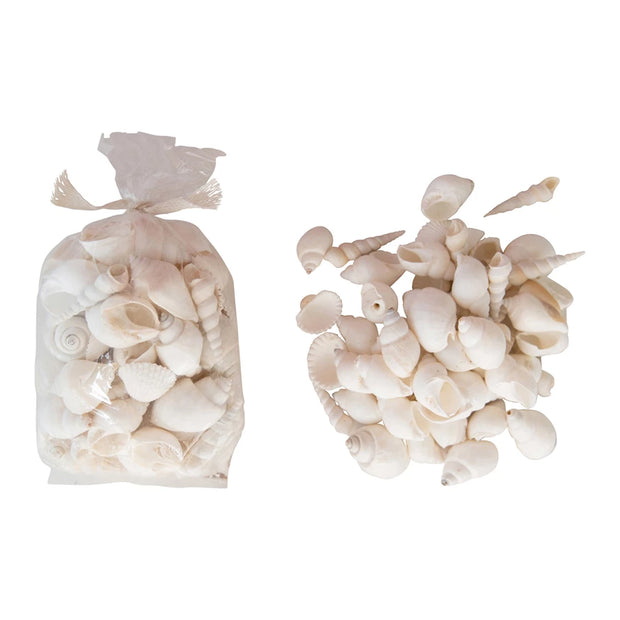 Mixed Bag Sea Shells