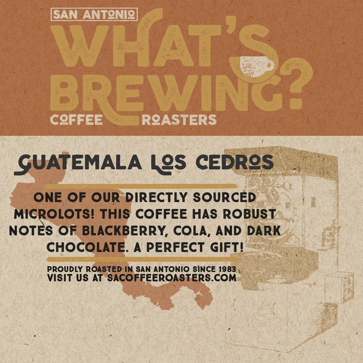 What's Brewing? - Guatemala Los Cedros