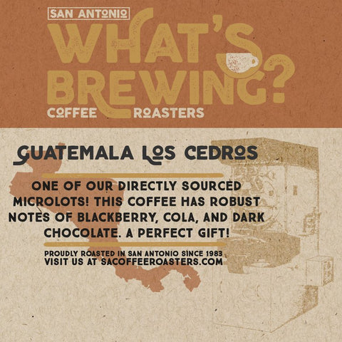 What's Brewing? - Guatemala Los Cedros