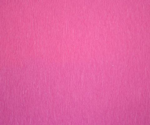 Hot Pink Paper Placemats