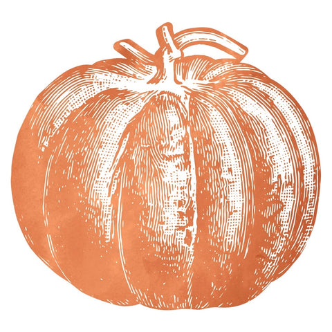 Hester & Cook - Die-Cut Pumpkin Placemats