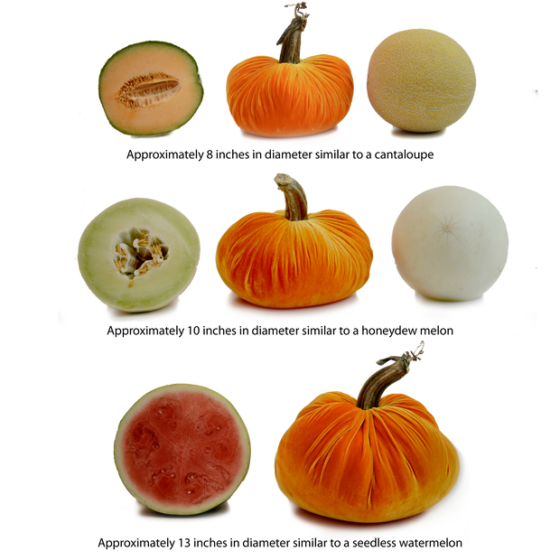 Plush Pumpkin - Apricot