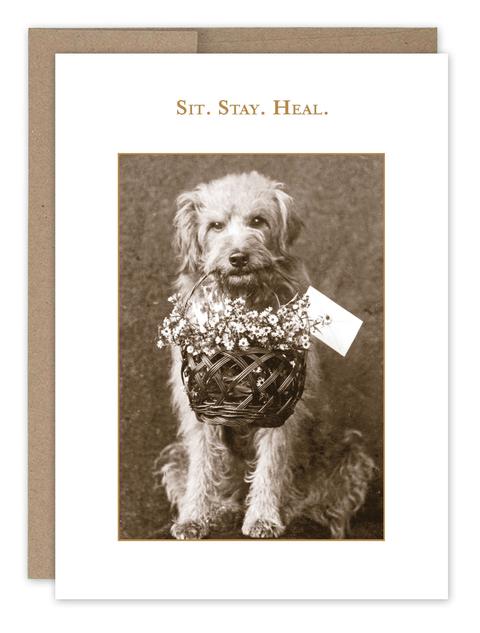 Sit. Stay. Heal. Greeting Card