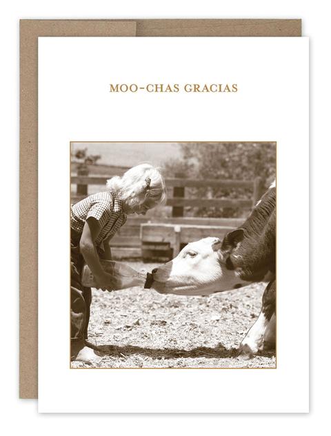 Moo Chas Gracias Greeting Card