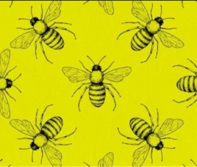 Euroscrubby - Bees Dishcloth