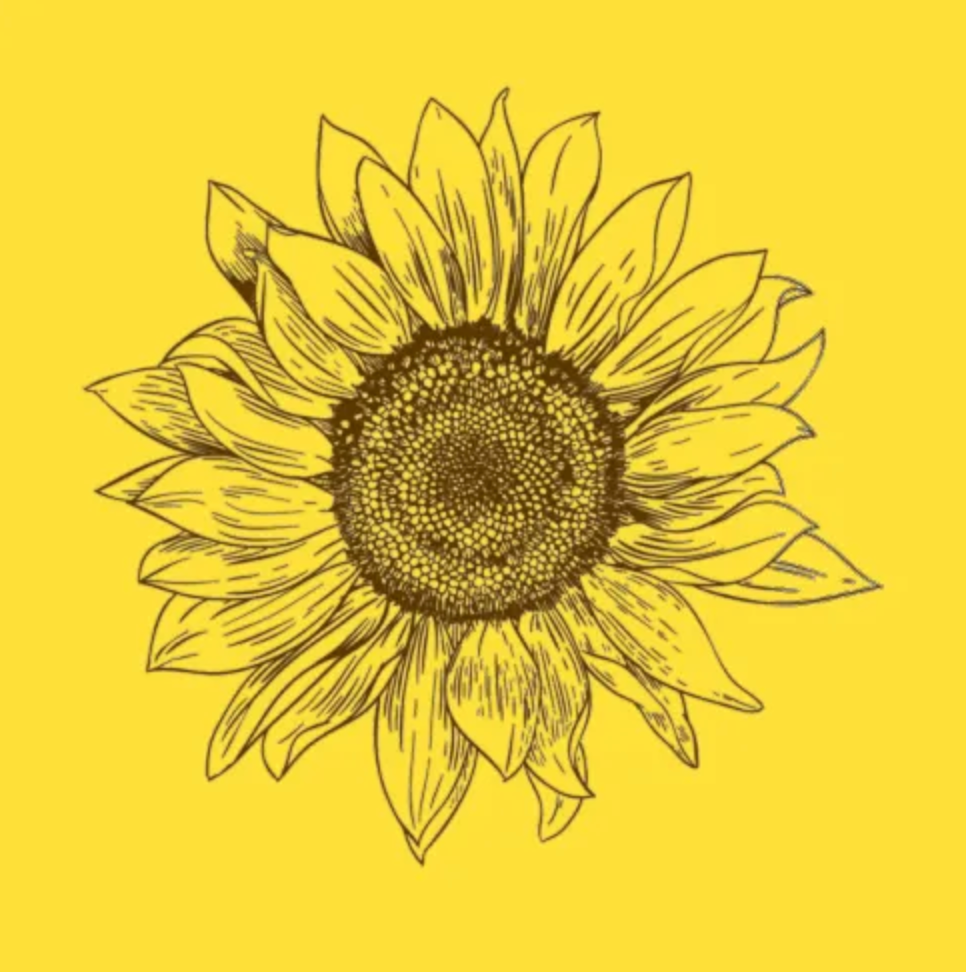 Euroscrubby - Sunflower Dishcloth