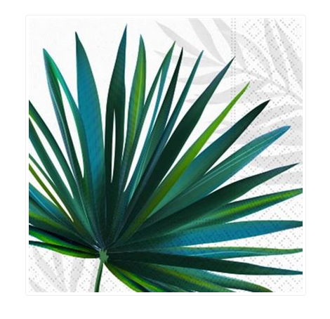 Palm Oasis Beverage Napkin