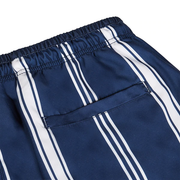 Dock & Bay - Mens Swim Shorts - Dress to Impress Stripe