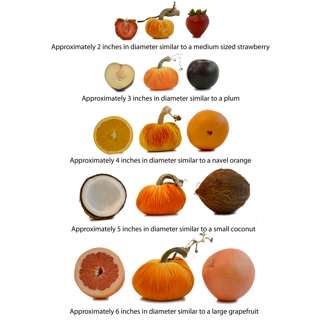 Plush Pumpkin Gunmetal Dot