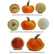 Plush Pumpkin - Wildberry Dot