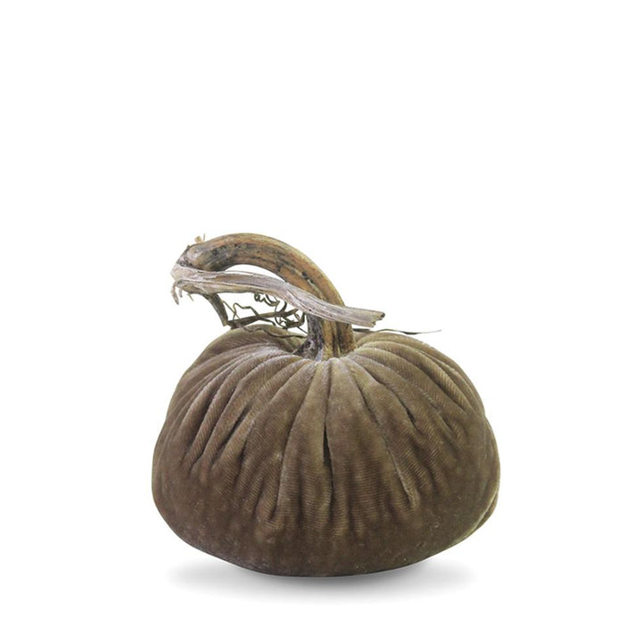 Plush Pumpkin Stone