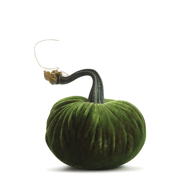 Plush Pumpkin - Watermelon