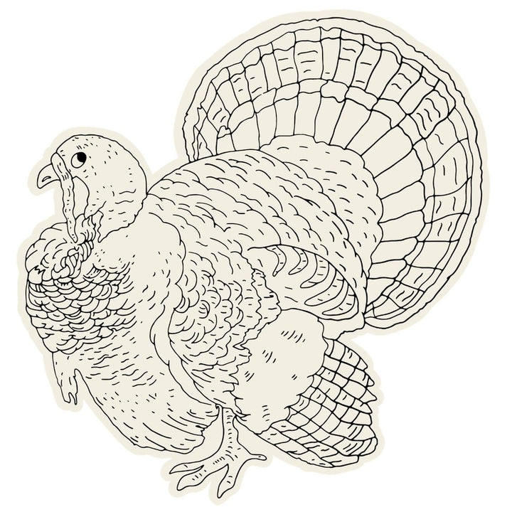 Hester & Cook Coloring Die-Cut Turkey Placemats