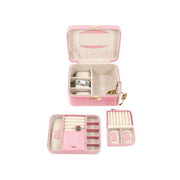 Quinn Pink Jewelry Case