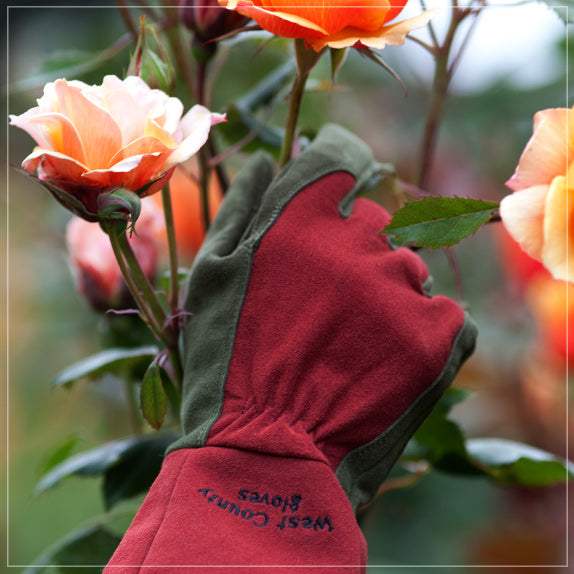 best gloves for rose gardening West County Gardener Gauntlet Rose Gloves – Sunset & Co
